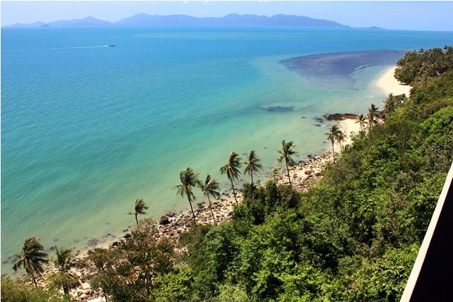 Samui villa for rent